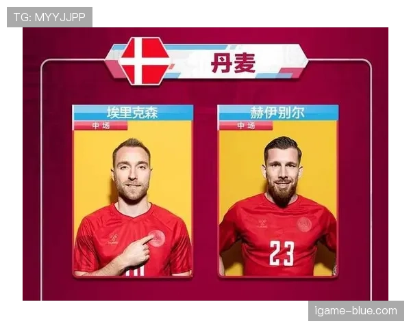 世界杯美国队D组观赛指南